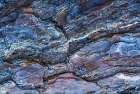 USA, New Jersey, Pine Barrens National Preserve. Close-up of tree bark. Art Print